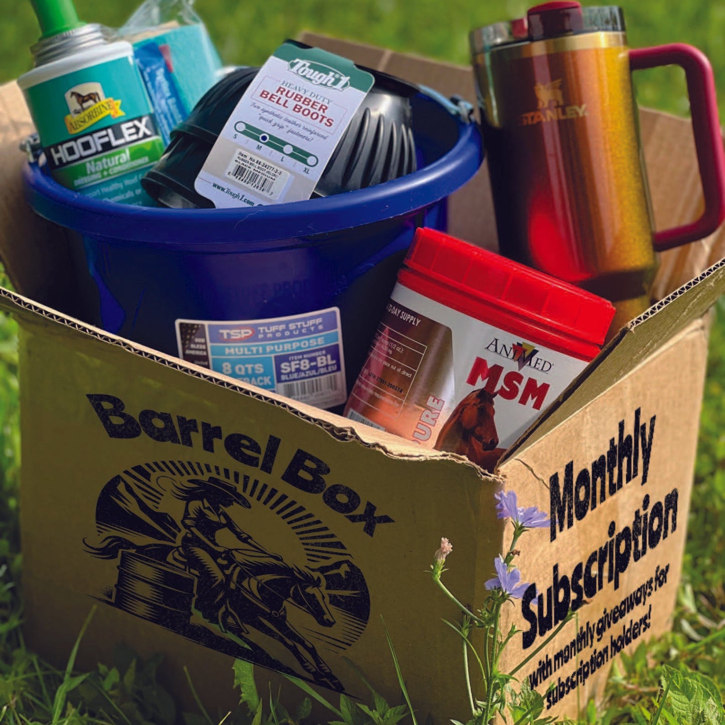 6 Month or 12 Month Purchase Save up to 30%